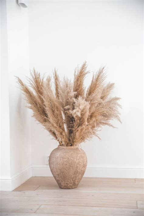 Pampas | Decor, Home decor, Grass decor