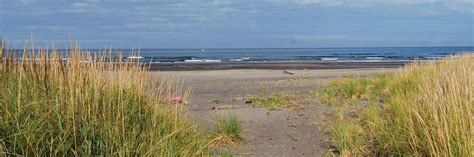 Long Beach Campground | Pacific Rim National Park Camping