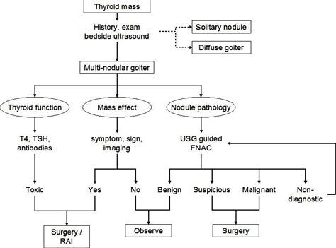 goiter - Google Search | Thyroid function, Mass effect, Pathology