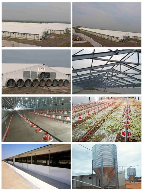 China Poultry Breeding Equipment for Broiler Manufacturers & Suppliers ...