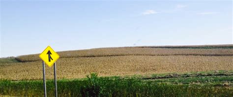 Iowa Cornfields Forever – Road Trip Whee!