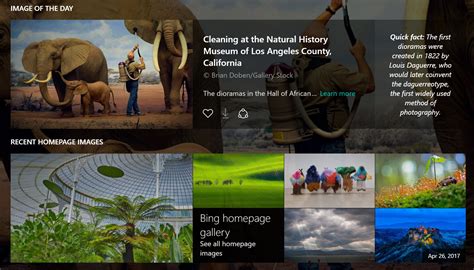 Microsoft reveals the hidden story behind Bing's Image of the Day