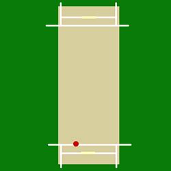 Spin bowling - Wikipedia