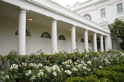 White House Rose Garden renovation: Newly spruced-up garden set for first lady speech - Chicago ...