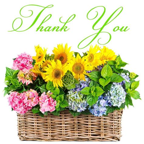 Colorful flowers. thank you. card ... | Stock Photo | Colourbox