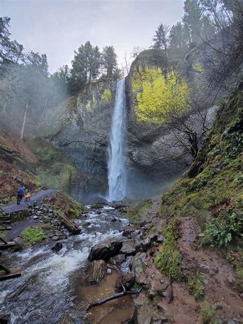 Latourell Falls, along the Columbia River Gorge in Oregon, USA. Absolutely stunning! : r/hiking