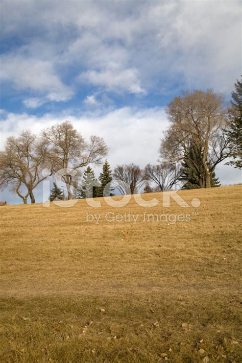 Grassy Knoll Stock Photo | Royalty-Free | FreeImages