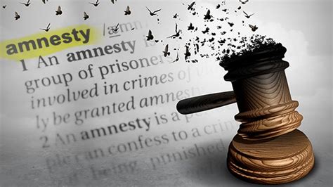 FAST FACTS: What is amnesty?