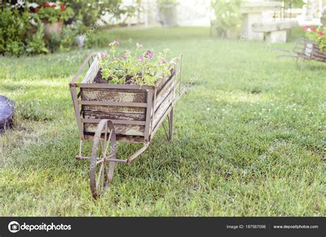 Decorative wheelbarrow in a garden with flower inside. — Stock Photo ...