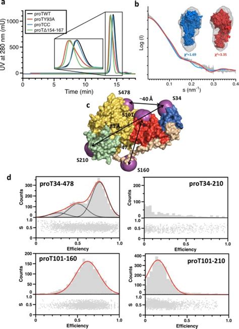 Structure of prothrombin in the closed form reveals new details on the mechanism of activation ...