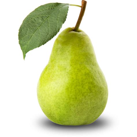 Free Pear Pictures, Download Free Pear Pictures png images, Free ClipArts on Clipart Library