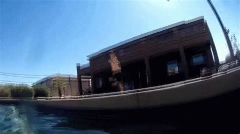 Back Flip Conclusion GIF - BackFlip Conclusion Jumping - Discover ...