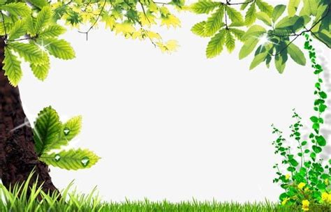 Beautiful Natural Border PNG - Free Download | Clip art borders ...