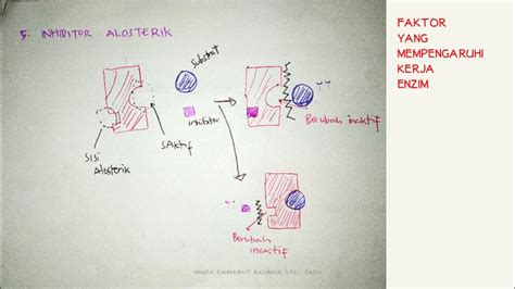 Faktor Kerja Enzim: Feedback, Represor & Alosterik Inhibitor - YouTube