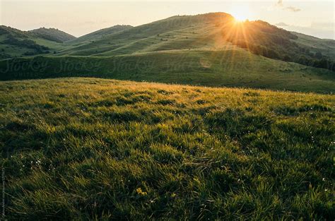 "Grassy Mountain Meadow At Sunset" by Stocksy Contributor "Cosma Andrei ...