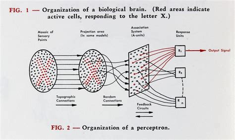 Professor’s perceptron paved the way for AI – 60 years too soon ...