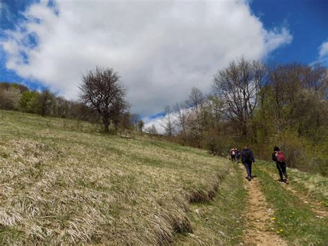 Rogačica, Zarožje, Sava Savanović's Mill - Explore Serbia