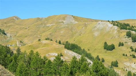 Green Trees on Green Hills · Free Stock Photo