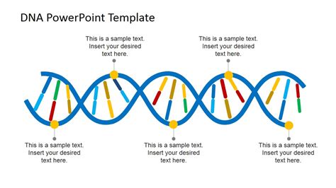 DNA Strands PowerPoint Template - SlideModel