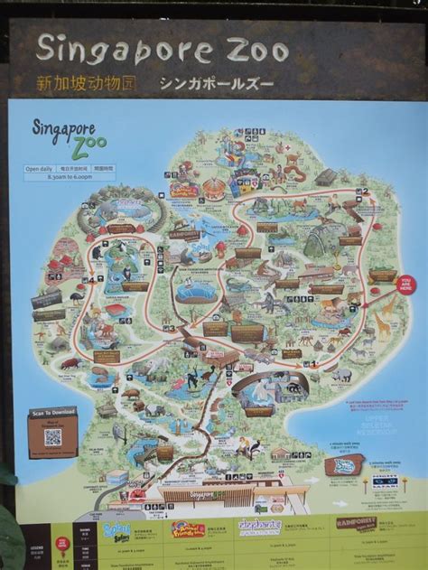 Singapore Zoo - Travelling with Kids - Family Travel Blog ...