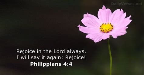 27 Bible Verses about 'Rejoice' - NIV & KJV - DailyVerses.net