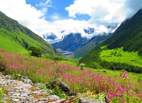 Valley of Flowers, chamoli, India - Top Attractions, Things to Do ...