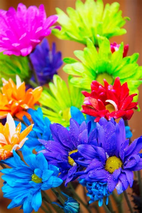 Gift of Colorful Flowers To Cheer Up a Person Stock Image - Image of ...