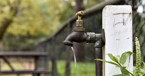 A Brief Guide to the Different Types of Outside Water Faucets