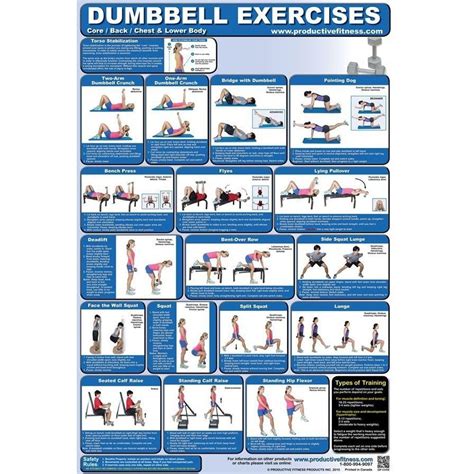 Fitness Poster Back And Core Dumbbell Exercises for Home use Laminated ...