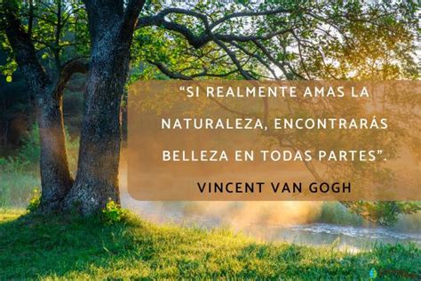 +50 frases de la naturaleza - ¡Para reflexionar!