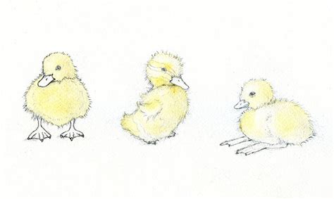 Adorable Art: Learn How to Draw and Paint a Duckling | Craftsy