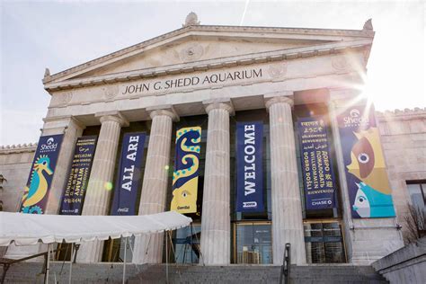 Shedd Aquarium (@shedd_aquarium) | Twitter