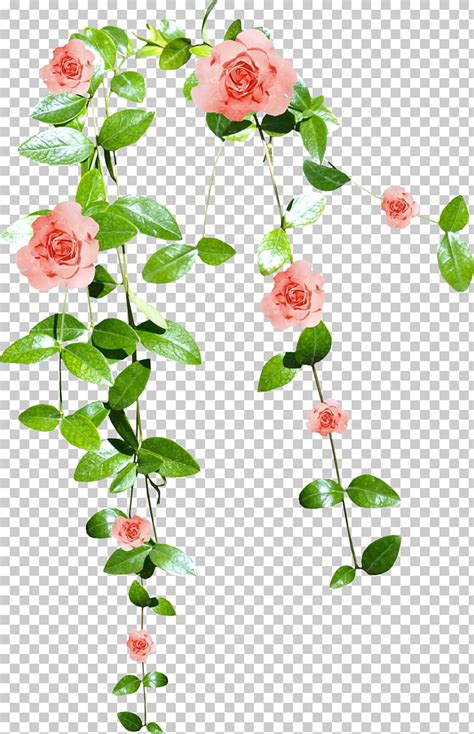 Free Flower Vine Cliparts, Download Free Flower Vine Cliparts png images, Free ClipArts on ...