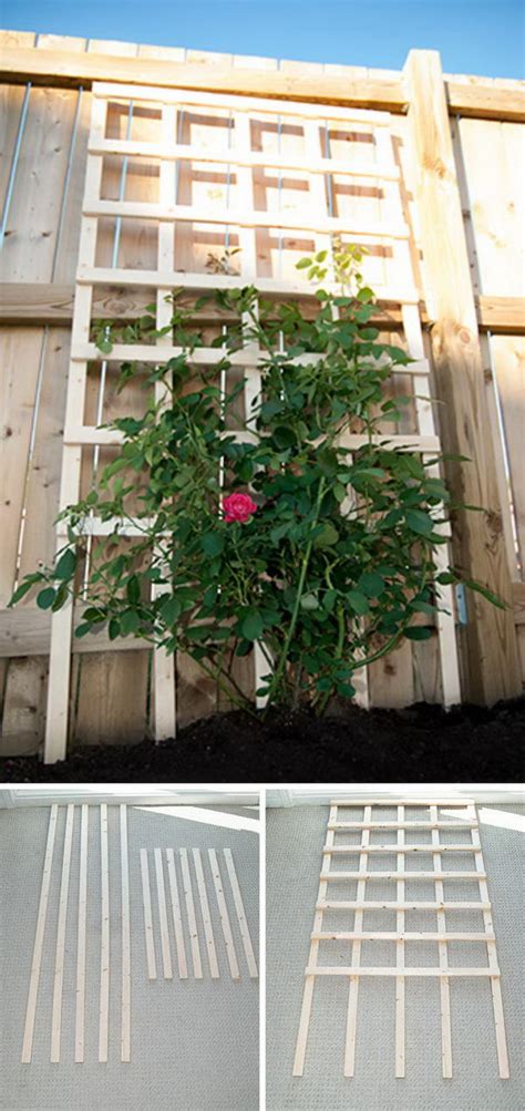 30+ DIY Trellis Ideas for Your Garden 2017