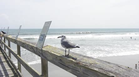 Sunset Beach Pier - Sunset Beach, North Carolina - 910-579-6630