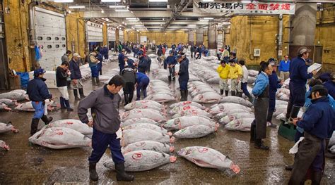 Experience Photographing the Tokyo Fish Market Before History ...