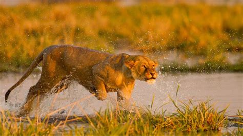 Isimangaliso Wetland Park Wins Accolades