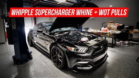 2016 Mustang GT Whipple Supercharger WOT Pulls + Sound Tube Mod Install - YouTube