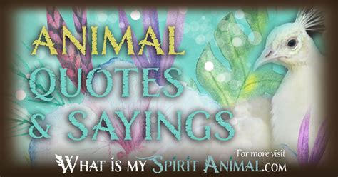 Animal Quotes & Animal Sayings - What Is My Spirit Animal | Spirit, Totem, & Power Animals