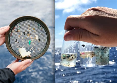 How do plastics get to the bottom of the sea? — WHYY