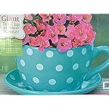 Lifestyle Products, Polka Dot Red Tea Cup & Saucer Planter, 16.5 x 33.5 x 25.5 cm: Amazon.co.uk ...