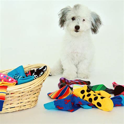 DIY DOG TOYS: 3 DIY SOCK DOG TOYS - PAWSH MAGAZINE | A New Breed of Dog ...