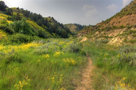 Hiking path through the grass at Theodore Roosevelt National Park, North Dakota image - Free ...