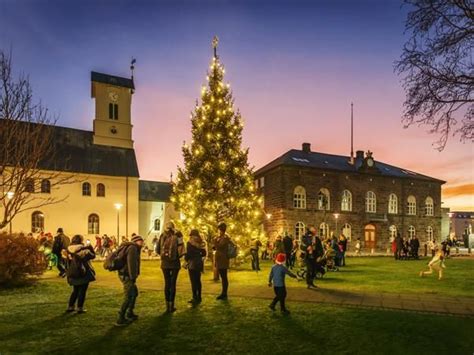 Iceland Adventures, Christmas Preparation, Oslo, Dolores Park, Christmas Tree, City, Lighting ...