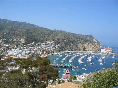 Travel the "Catalina Island" in California.:Choice Your Holiday