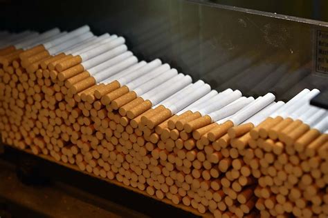 Banning the Sale of Menthol Cigarettes May Do More Harm than Good | Cato Institute