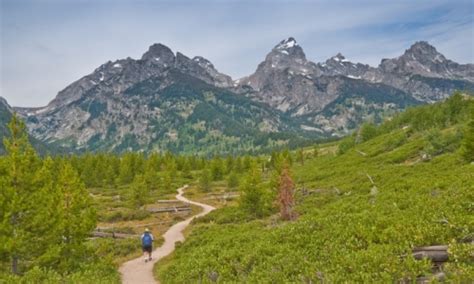 Jackson Hole Hiking Trails, Wyoming Hikes - AllTrips