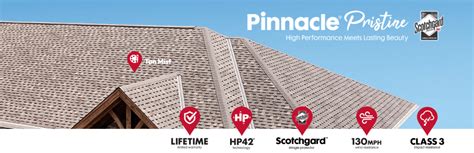 Atlas Pinnacle Pristine Shingles | Easy Windows & Siding, LLC