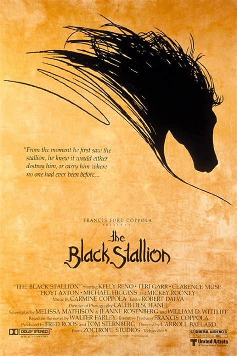 The Black Stallion (1979) Posters - TrailerAddict