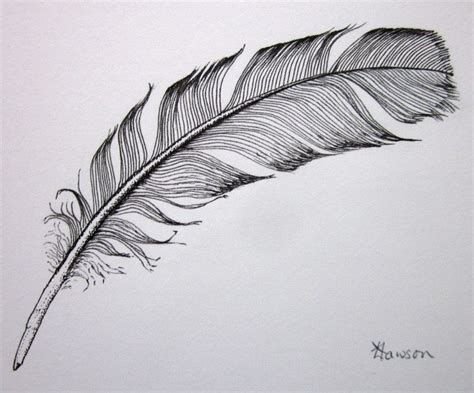 phoenix feather on fire - Google Search | Feather drawing, Original ink drawing, Original ink